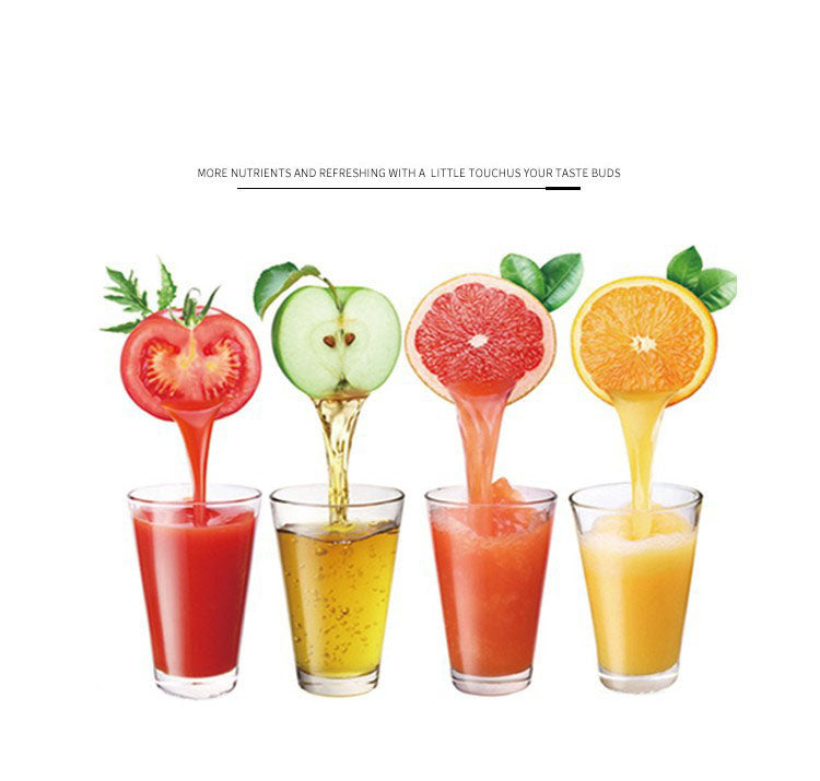 Fruit Press Manual Juice Maker