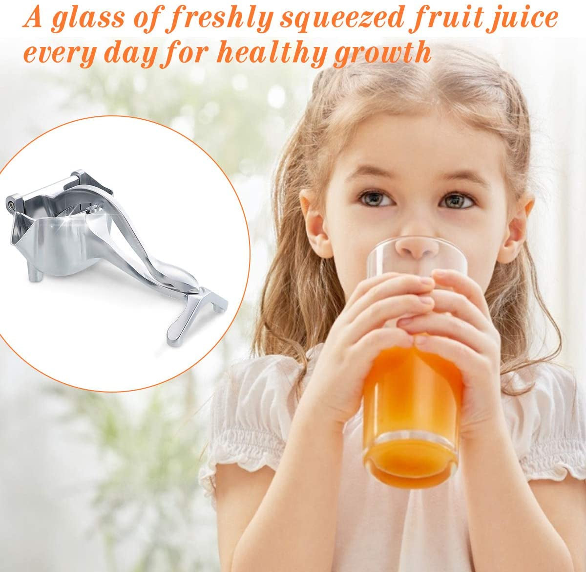 Fruit Press Manual Juice Maker